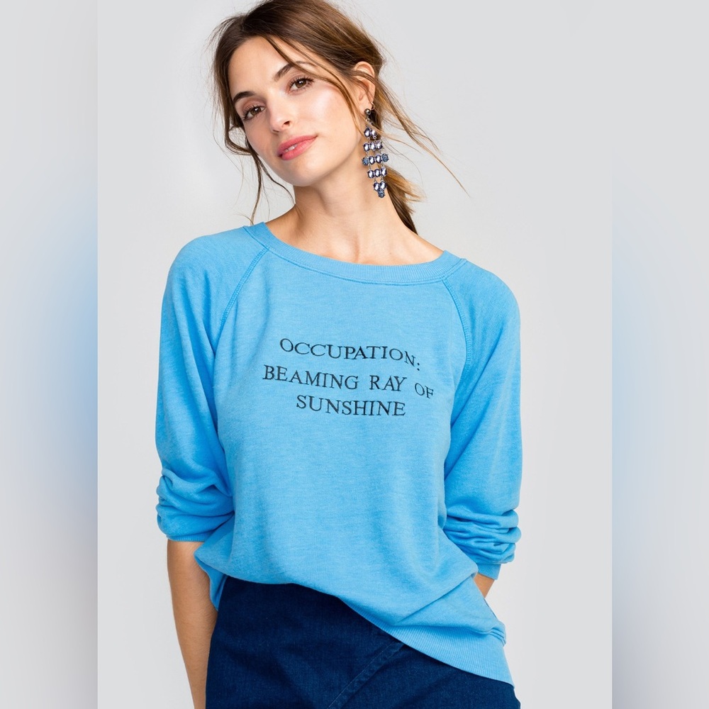 Wildfox Jumper Blue Graphic Sweatshirt